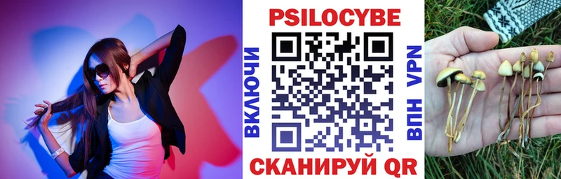 Псилоцибиновые грибы Psilocybe  Купить закладки  Демидов 